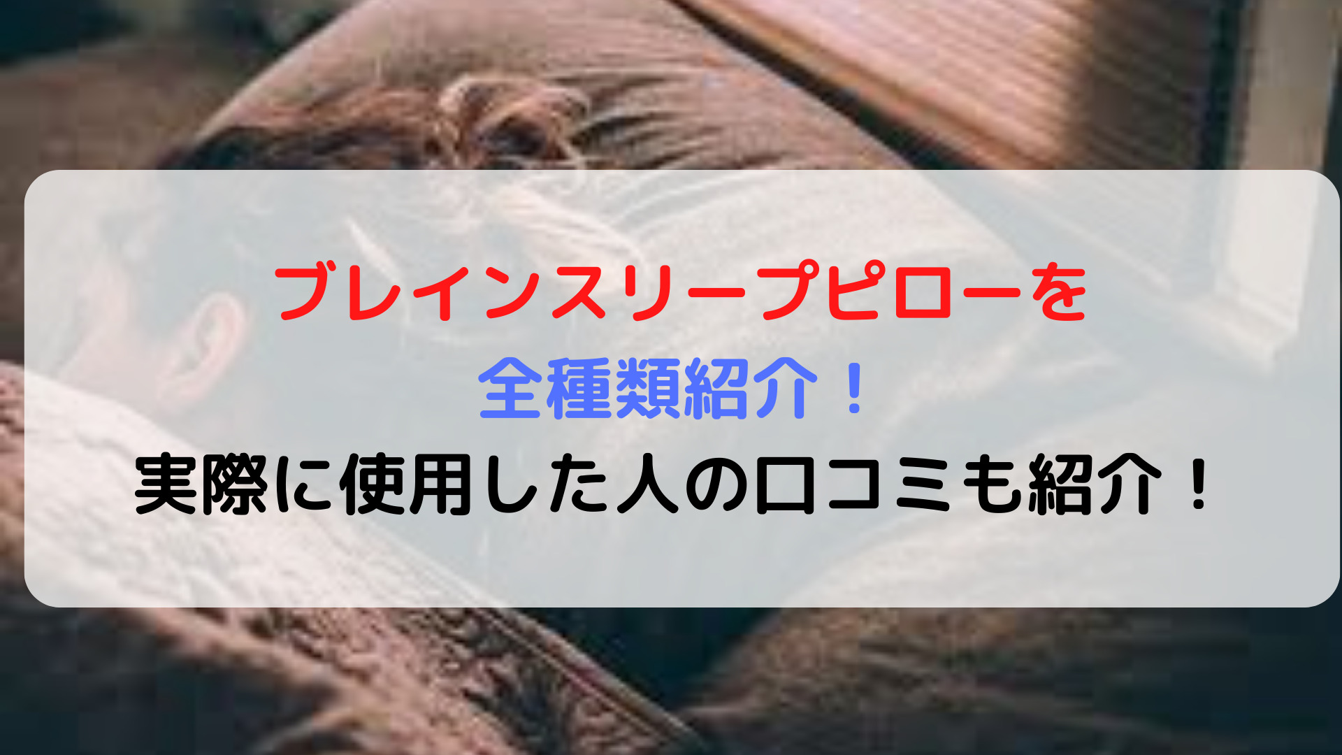 ブレインスリープピローを全種類紹介！実際に使用した人の口コミも紹介！ | 癒しタイムズ