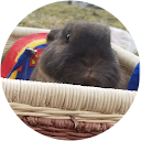 ちゃんくま（ちゃんくま）