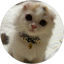 名古屋稔 名古屋稔