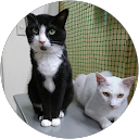 菅野岩助 菅野岩助