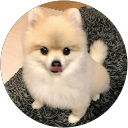 ゆうたん ゆうたん