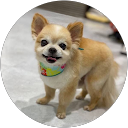 伊藤泰希 伊藤泰希