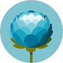 lusa profile picture