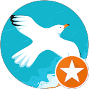 Natsu . K profile picture