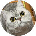 きらりん profile picture