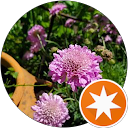 Hiroyo Matsuo profile picture