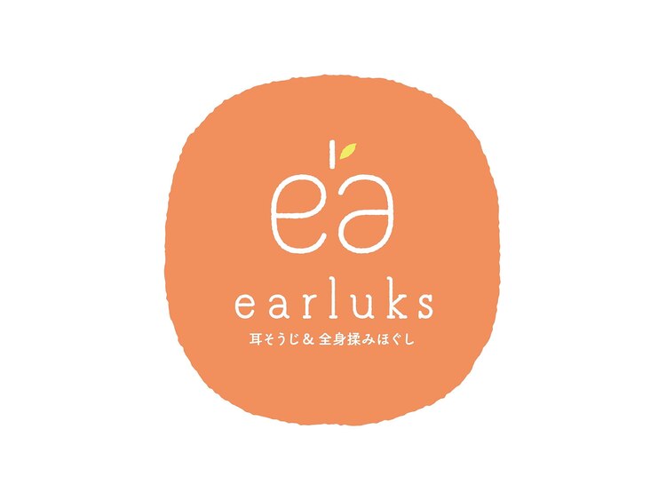 イヤーラクス(earluks)の店内