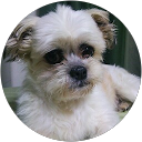sei hasegawa profile picture