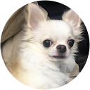 めるまま めるまま