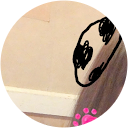 お鳥ちゃん お鳥ちゃん