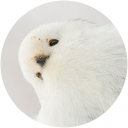 Kyogo Kanamori Kyogo Kanamori