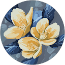 kiriko profile picture