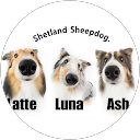 sslatteluna profile picture