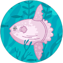 のー profile picture
